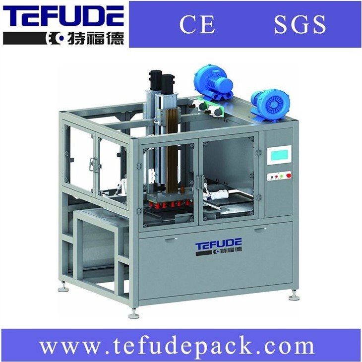 rectangular robot loading machine loading case packaging carton machine frozen food packing in case robot packaging system manufacturer custom made